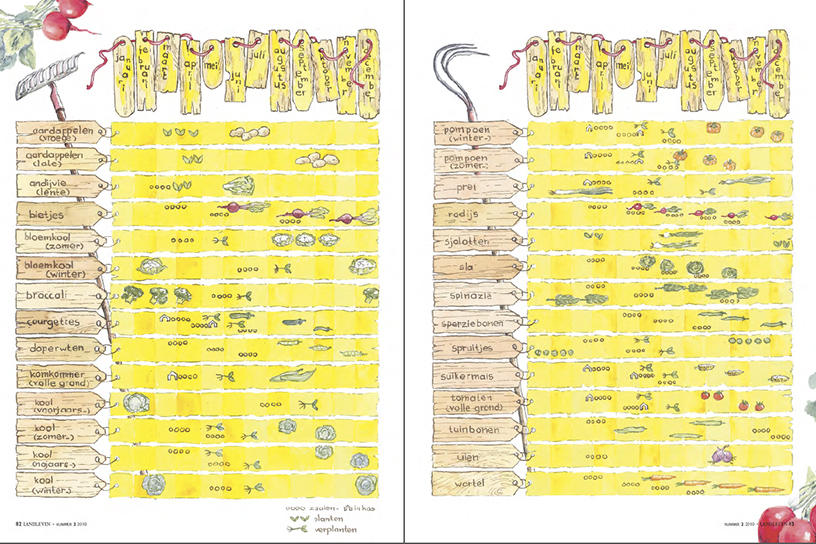 Geïllustreerd schema om in te vullen als teeltplan voor de moestuin.